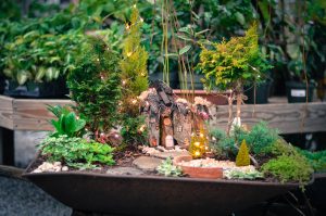 Build your own mini gardens