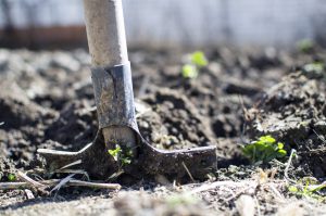Shovel, Soil, Composting