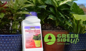 houseplant insecticide