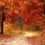 November Gardening Tips