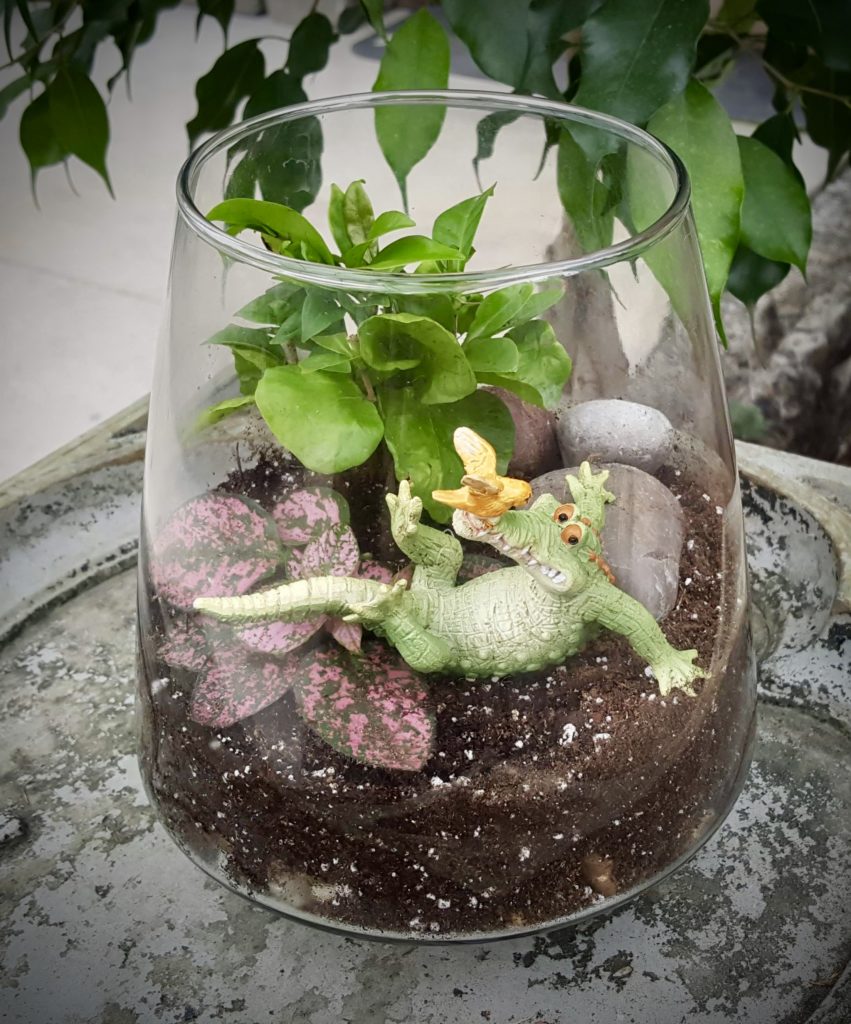 Glass Terrarium Green Side Up Garden & Gifts