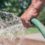 August Gardening Tips for Fayetteville, NC