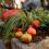 October Gardening Tips for Fayetteville, NC: Fall Into Planting Season