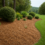 Pine Straw vs. Mulch: What’s Best for Fayetteville Landscaping?