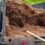 Why Summer Is the Perfect Time to Refresh Your Landscape Beds