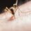 Natural Ways to Keep Mosquitoes at Bay: Eco‑Friendly Tactics That Work