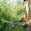 Which Shrubs to Prune in the Fall — and Which Ones to Leave Alone