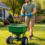 When to Fertilize Your Lawn in North Carolina