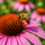 Create a Pollinator Garden This Summer in Fayetteville, NC