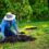 How to Protect Newly Planted Trees During the Summer Heat in Fayetteville, NC